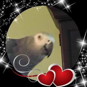 Meet your Posher, Edna